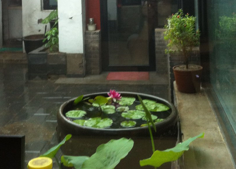 Courtyard lotus pond and peaceful architecture in the rain
